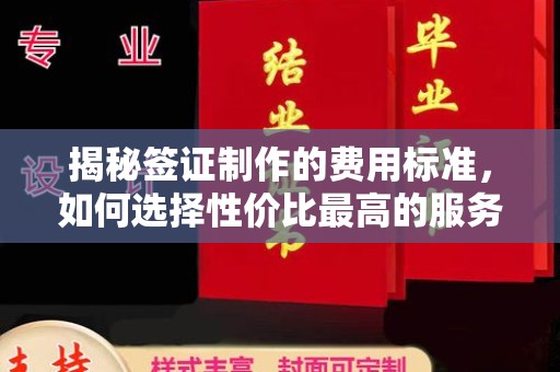 钦南揭秘签证制作的费用标准，如何选择性价比最高的服务？