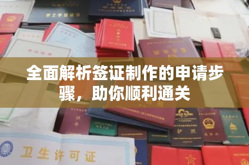 钦南全面解析签证制作的申请步骤，助你顺利通关