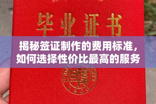钦南揭秘签证制作的费用标准，如何选择性价比最高的服务？